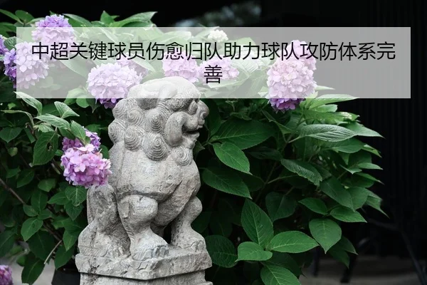 中超关键球员伤愈归队助力球队攻防体系完善（3377 Sports）
